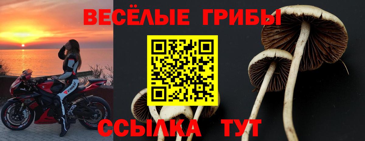 Псилоцибиновые грибы Cubensis  Вход с VPN  Борзя  Псилоцибиновые грибы MAGIC MUSHROOMS 